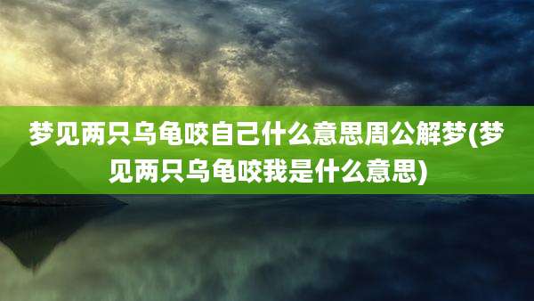 梦见两只乌龟咬自己什么意思周公解梦(梦见两只乌龟咬我是什么意思)