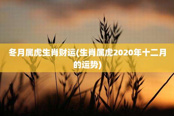 冬月属虎生肖财运(生肖属虎2020年十二月的运势)