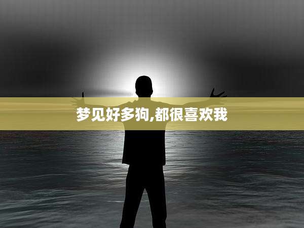 梦见好多狗,都很喜欢我