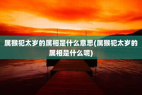 属猴犯太岁的属相是什么意思(属猴犯太岁的属相是什么呢)