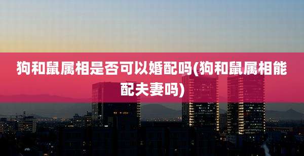 狗和鼠属相是否可以婚配吗(狗和鼠属相能配夫妻吗)