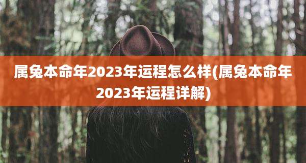 属兔本命年2023年运程怎么样(属兔本命年2023年运程详解)