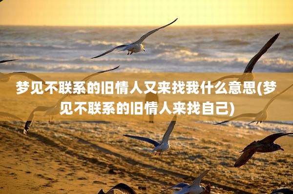 梦见不联系的旧情人又来找我什么意思(梦见不联系的旧情人来找自己)