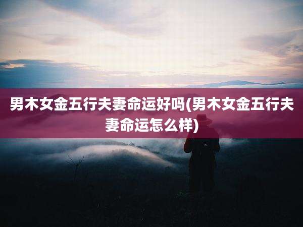 男木女金五行夫妻命运好吗(男木女金五行夫妻命运怎么样)