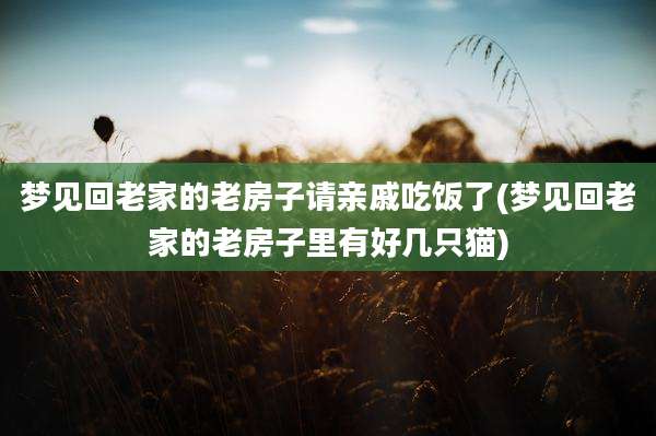 梦见回老家的老房子请亲戚吃饭了(梦见回老家的老房子里有好几只猫)