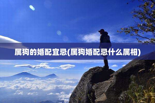 属狗的婚配宜忌(属狗婚配忌什么属相)