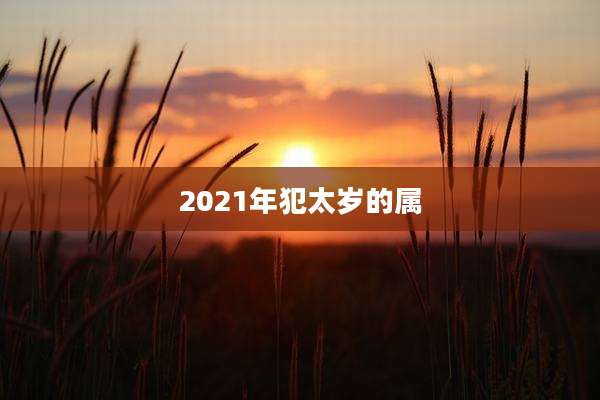 2021年犯太岁的属