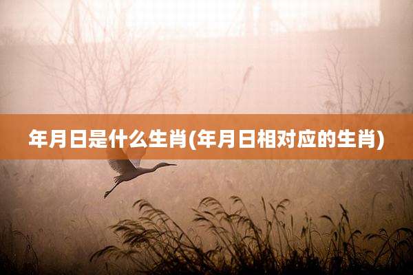 年月日是什么生肖(年月日相对应的生肖)