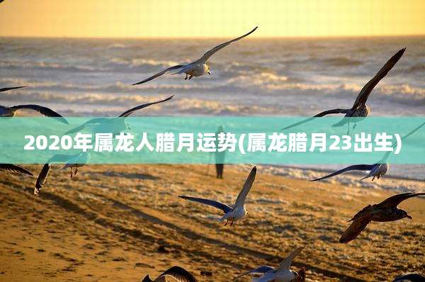 2020年属龙人腊月运势(属龙腊月23出生)