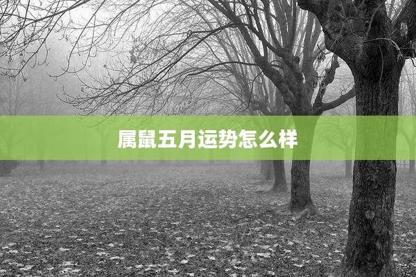 属鼠五月运势怎么样