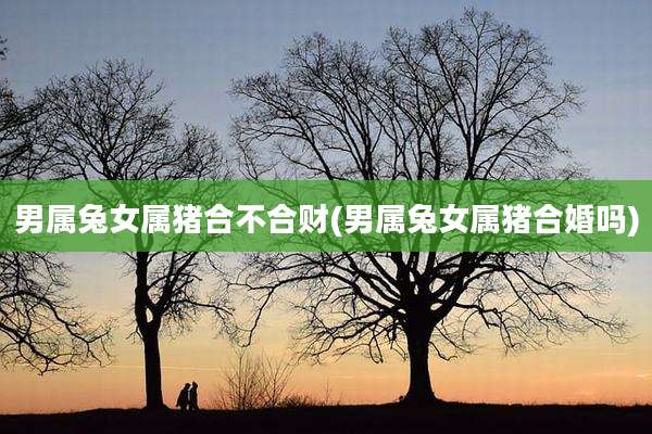 男属兔女属猪合不合财(男属兔女属猪合婚吗)