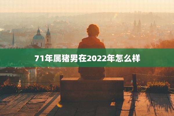 71年属猪男在2022年怎么样