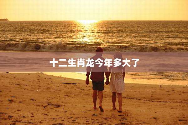 十二生肖龙今年多大了