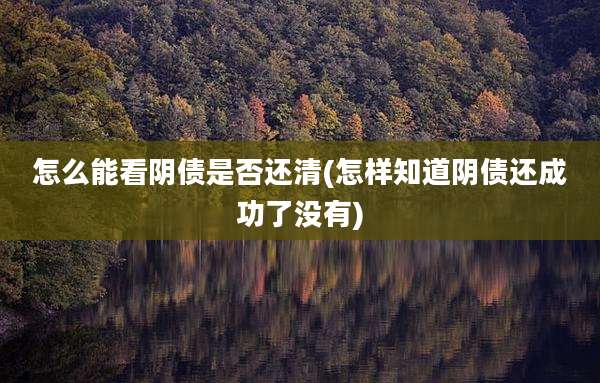 怎么能看阴债是否还清(怎样知道阴债还成功了没有)