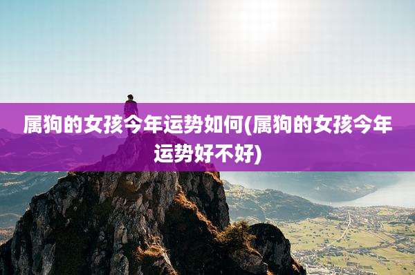属狗的女孩今年运势如何(属狗的女孩今年运势好不好)