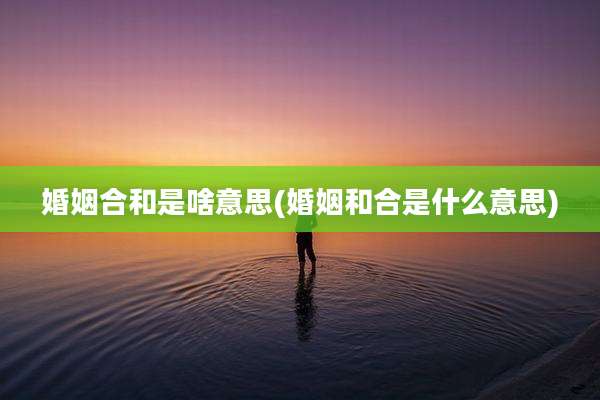 婚姻合和是啥意思(婚姻和合是什么意思)