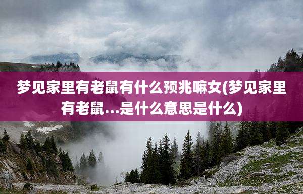 梦见家里有老鼠有什么预兆嘛女(梦见家里有老鼠…是什么意思是什么)