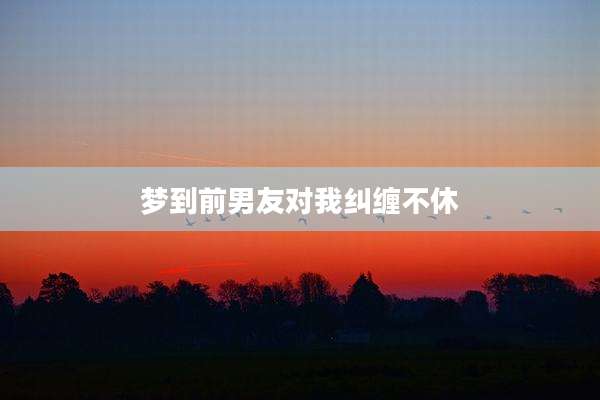 梦到前男友对我纠缠不休