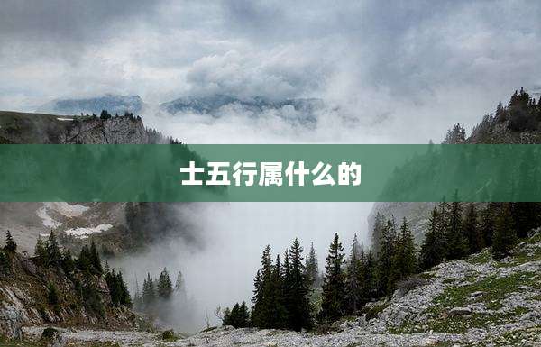 士五行属什么的