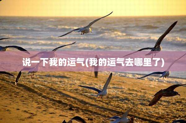 说一下我的运气(我的运气去哪里了)