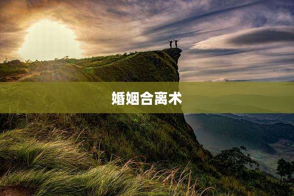 婚姻合离术