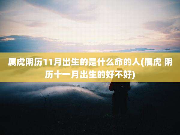 属虎阴历11月出生的是什么命的人(属虎 阴历十一月出生的好不好)