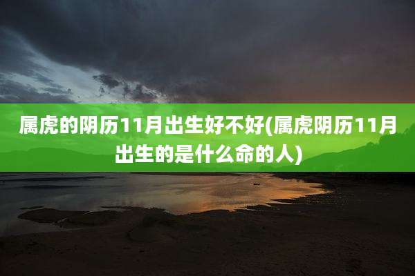 属虎的阴历11月出生好不好(属虎阴历11月出生的是什么命的人)