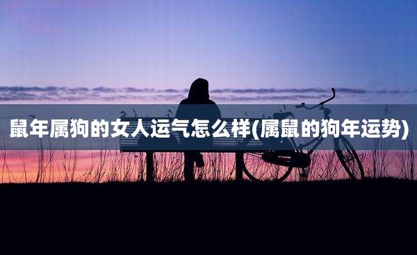 鼠年属狗的女人运气怎么样(属鼠的狗年运势)