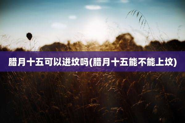 腊月十五可以进坟吗(腊月十五能不能上坟)
