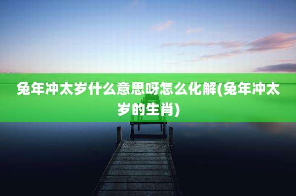 兔年冲太岁什么意思呀怎么化解(兔年冲太岁的生肖)