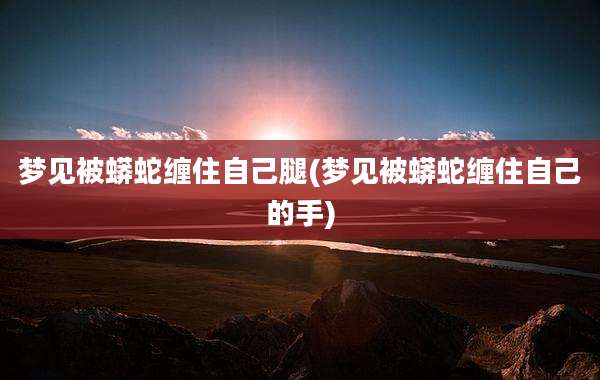 梦见被蟒蛇缠住自己腿(梦见被蟒蛇缠住自己的手)