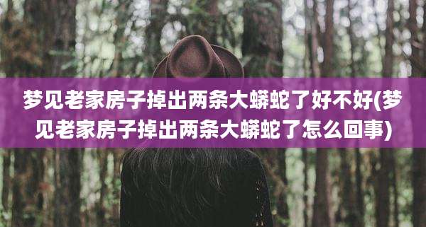 梦见老家房子掉出两条大蟒蛇了好不好(梦见老家房子掉出两条大蟒蛇了怎么回事)