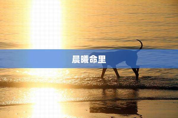晨曦命里