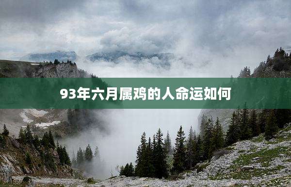 93年六月属鸡的人命运如何