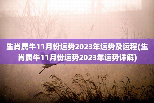 生肖属牛11月份运势2023年运势及运程(生肖属牛11月份运势2023年运势详解)