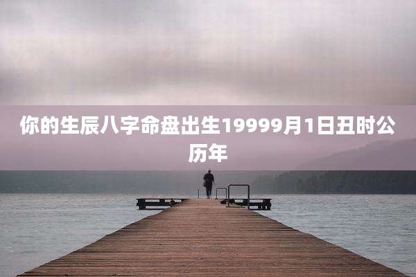 你的生辰八字命盘出生19999月1日丑时公历年