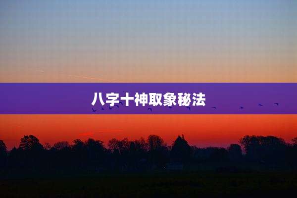 八字十神取象秘法
