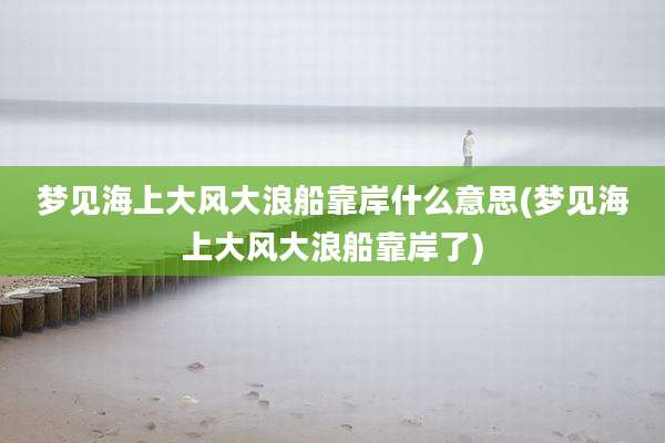梦见海上大风大浪船靠岸什么意思(梦见海上大风大浪船靠岸了)