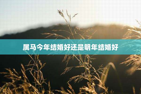 属马今年结婚好还是明年结婚好