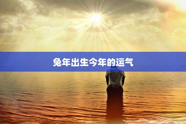 兔年出生今年的运气