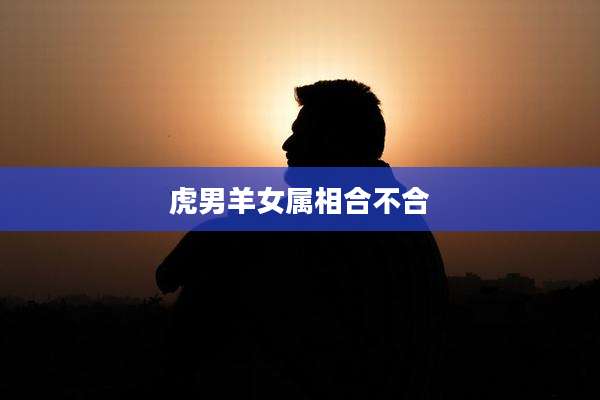 虎男羊女属相合不合