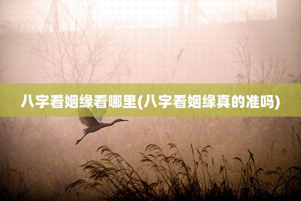 八字看姻缘看哪里(八字看姻缘真的准吗)