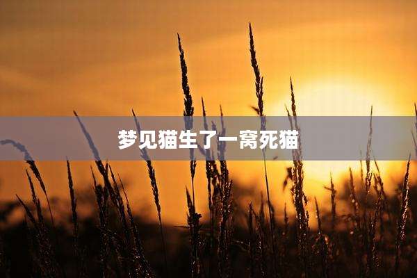 梦见猫生了一窝死猫