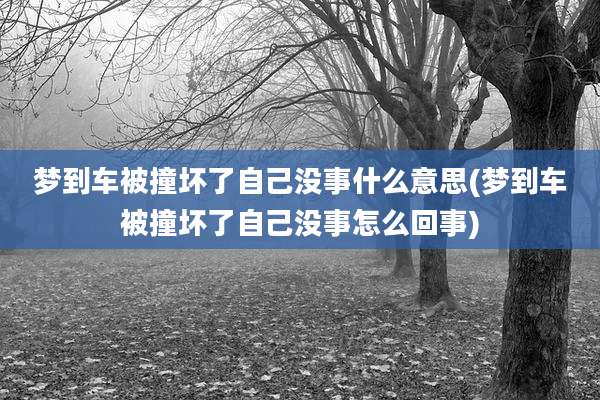 梦到车被撞坏了自己没事什么意思(梦到车被撞坏了自己没事怎么回事)