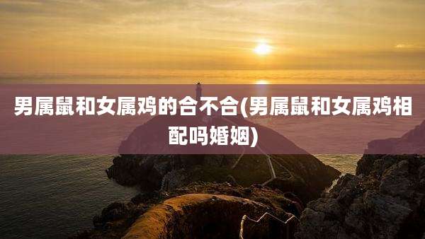 男属鼠和女属鸡的合不合(男属鼠和女属鸡相配吗婚姻)