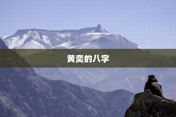 黄奕的八字