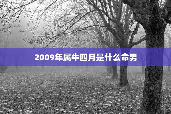 2009年属牛四月是什么命男