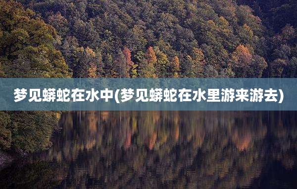 梦见蟒蛇在水中(梦见蟒蛇在水里游来游去)