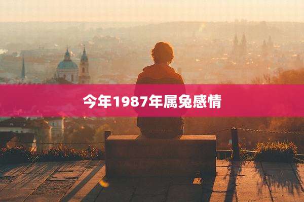 今年1987年属兔感情