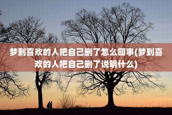 梦到喜欢的人把自己删了怎么回事(梦到喜欢的人把自己删了说明什么)